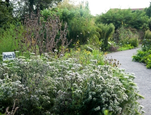 Ein Kiesweg schlängelt sich durch einen üppigen Garten voller grüner Pflanzen und weißer Blumen. Links steht ein Schild mit der Aufschrift „Artemisia“. Bäume und dichtes Laubwerk prägen den Hintergrund unter einem hellen, bewölkten Himmel.