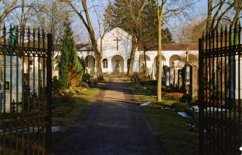 Das Bild zeigt den Eingang zu einem Friedhof mit einem offenen Eisentor, einem von Bäumen gesäumten Weg, Grabsteinen auf beiden Seiten und einer weißen Kapelle mit einem Kreuz im Hintergrund bei klarem Tageslicht.