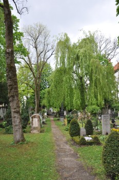 Ein schmaler Steinpfad führt durch einen Friedhof mit Grabsteinen auf beiden Seiten, umgeben von grünem Gras, Bäumen und Sträuchern unter einem bewölkten Himmel.