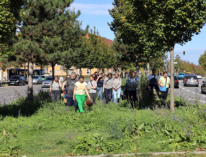 Eine Gruppe von Menschen geht an einem sonnigen Tag gemeinsam durch eine von Bäumen gesäumte Wiese neben einer belebten Straße mit parkenden und fahrenden Autos im Hintergrund.
