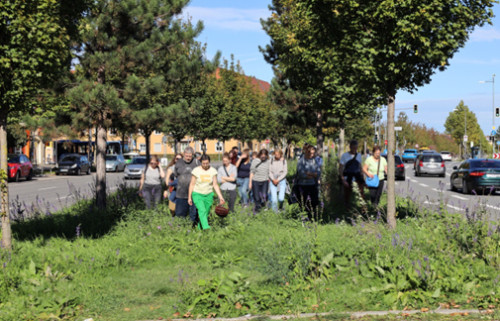 Eine Gruppe von Menschen geht an einem sonnigen Tag gemeinsam durch eine von Bäumen gesäumte Wiese neben einer belebten Straße mit parkenden und fahrenden Autos im Hintergrund.