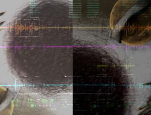 Abstraktes Bild mit sich überlagernden Audiowellenformen und digitalen Datendiagrammen über einer Nahaufnahme von strukturiertem, dunklem Haar und einem beigen Objekt, das vertikal in zwei Farbtöne unterteilt ist.