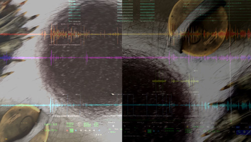 Abstraktes Bild mit sich überlagernden Audiowellenformen und digitalen Datendiagrammen über einer Nahaufnahme von strukturiertem, dunklem Haar und einem beigen Objekt, das vertikal in zwei Farbtöne unterteilt ist.
