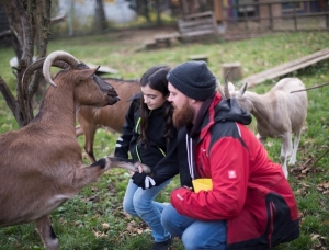 Ein Mann und eine Frau stehen auf einer Weide und streicheln eine braune Ziege