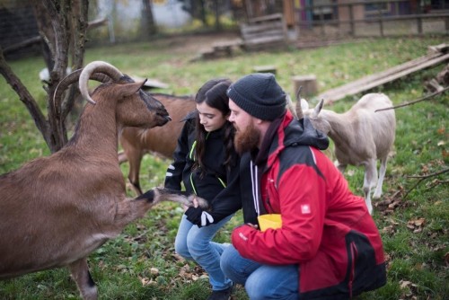 Ein Mann und eine Frau stehen auf einer Weide und streicheln eine braune Ziege