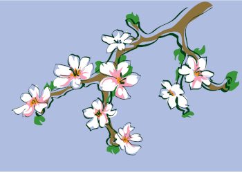 „Baum der Wünsche“